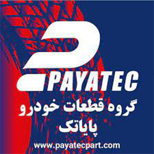 پایاتک (PAYATEC)